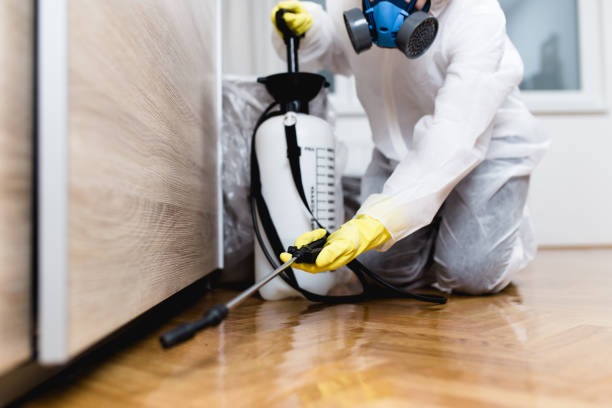 Best Exterminator Services  in Magee, MS
