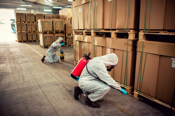Best Pest Prevention Services  in Magee, MS