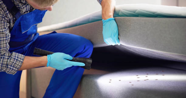 Best Affordable Pest Control Services  in Magee, MS