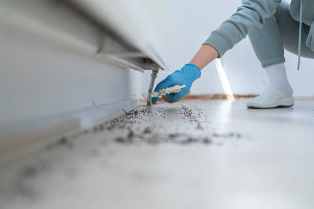 Best Best Pest Control Companies  in Magee, MS
