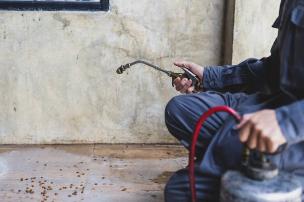 Best Cockroach Control Services  in Magee, MS